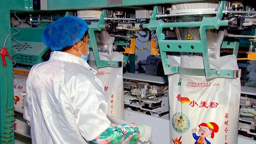 泰州泰興農產品加工園區(qū) 培大育強食品企業(yè)，聚力打造‘鮮食之都’與特色酒類產業(yè)新高地